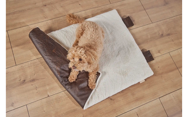 Ein liegender Hund auf einer zusammengerollten Decke auf einem Holzboden