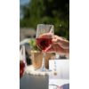 Hand houdt een glas met roze drankje, op de achtergrond planten en een tafel
