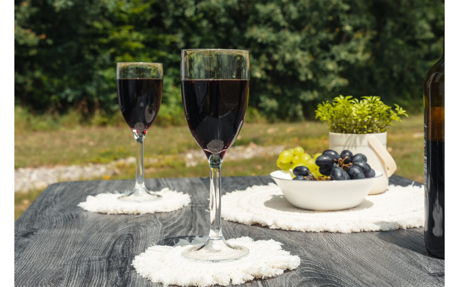 Dos copas de vino con líquido oscuro sobre una mesa de madera oscura, cada una en posavasos redondos blancos; a la derecha una botella de vino, un cuenco con uvas verdes y oscuras y una pequeña maceta con planta; fondo verde desenfocado