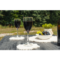 Juego de copas de vino Berger 2 piezas mediana 295 ml