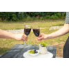 Dos manos sostienen copas de vino tinto, las copas se tocan sobre una mesa pequeña; en la mesa un cuenco con uvas verdes y negras, una pequeña planta en maceta y un tapete blanco de encaje; césped y arbustos al fondo