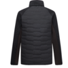 Rückenansicht einer dunklen Jacke mit gepolstertem, horizontal gestepptem Rückenteil, glatten Ärmeln und Stehkragen