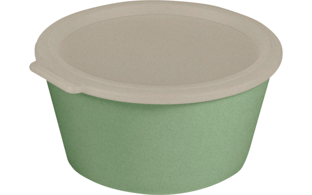 Image du produit Koziol Move Box Bol avec couvercle 2,2 litres 1