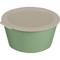 Koziol Move Box Schale mit Deckel 2,2 Liter nature leaf green 