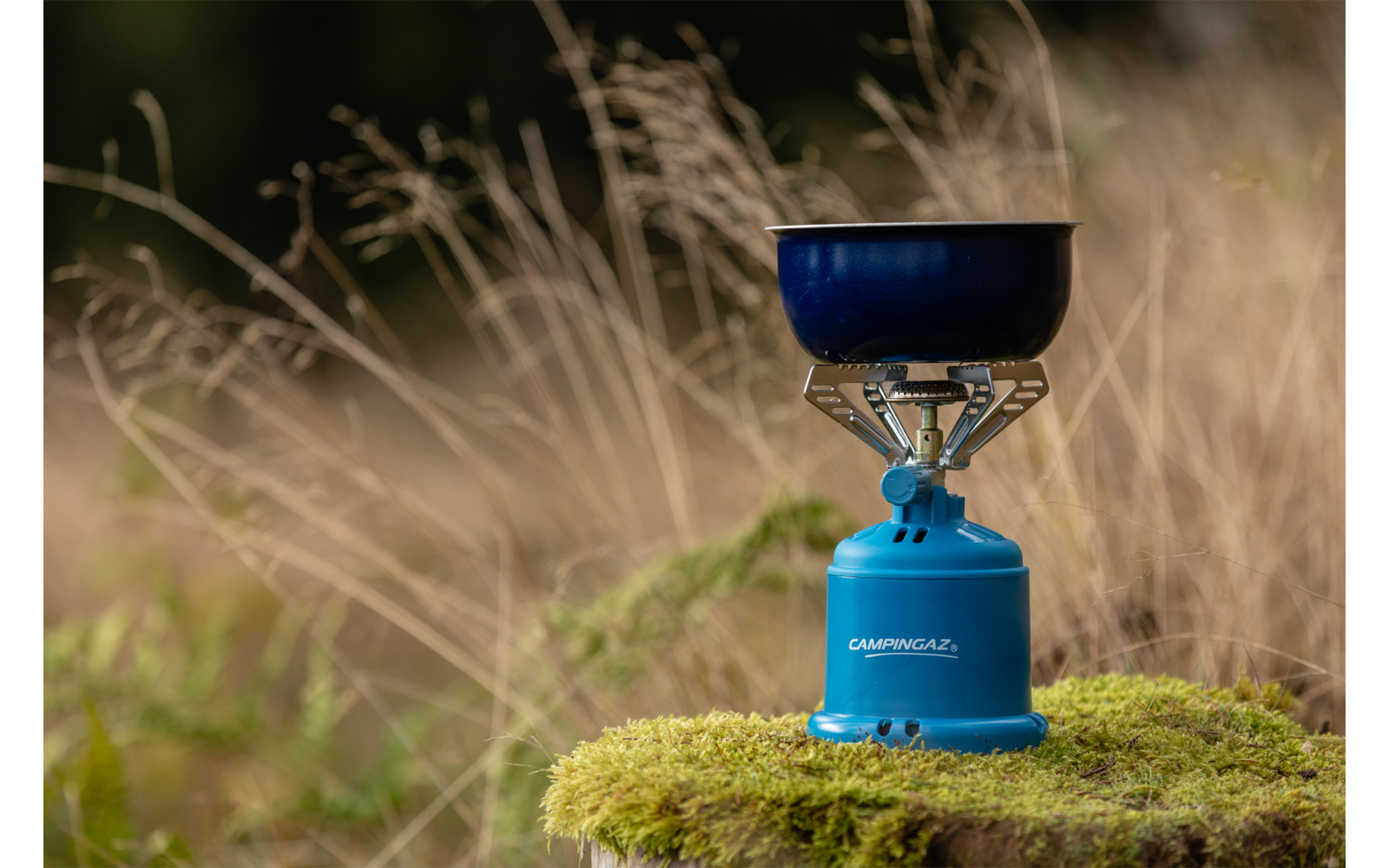 Blauer Camping-Gaskocher mit kleinem dunklem Topf auf moosbedecktem Stein, im Hintergrund hohes Gras