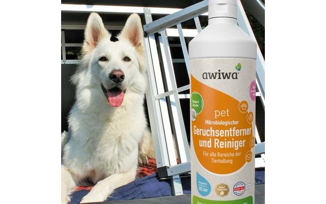 Weißer Hund mit offenem Maul und herausgestreckter Zunge neben einer weißen Flasche mit orangefarbenem Etikett 'awiwa pet Geruchsentferner und Reiniger'; Metallrahmen und Glasfenster im Hintergrund