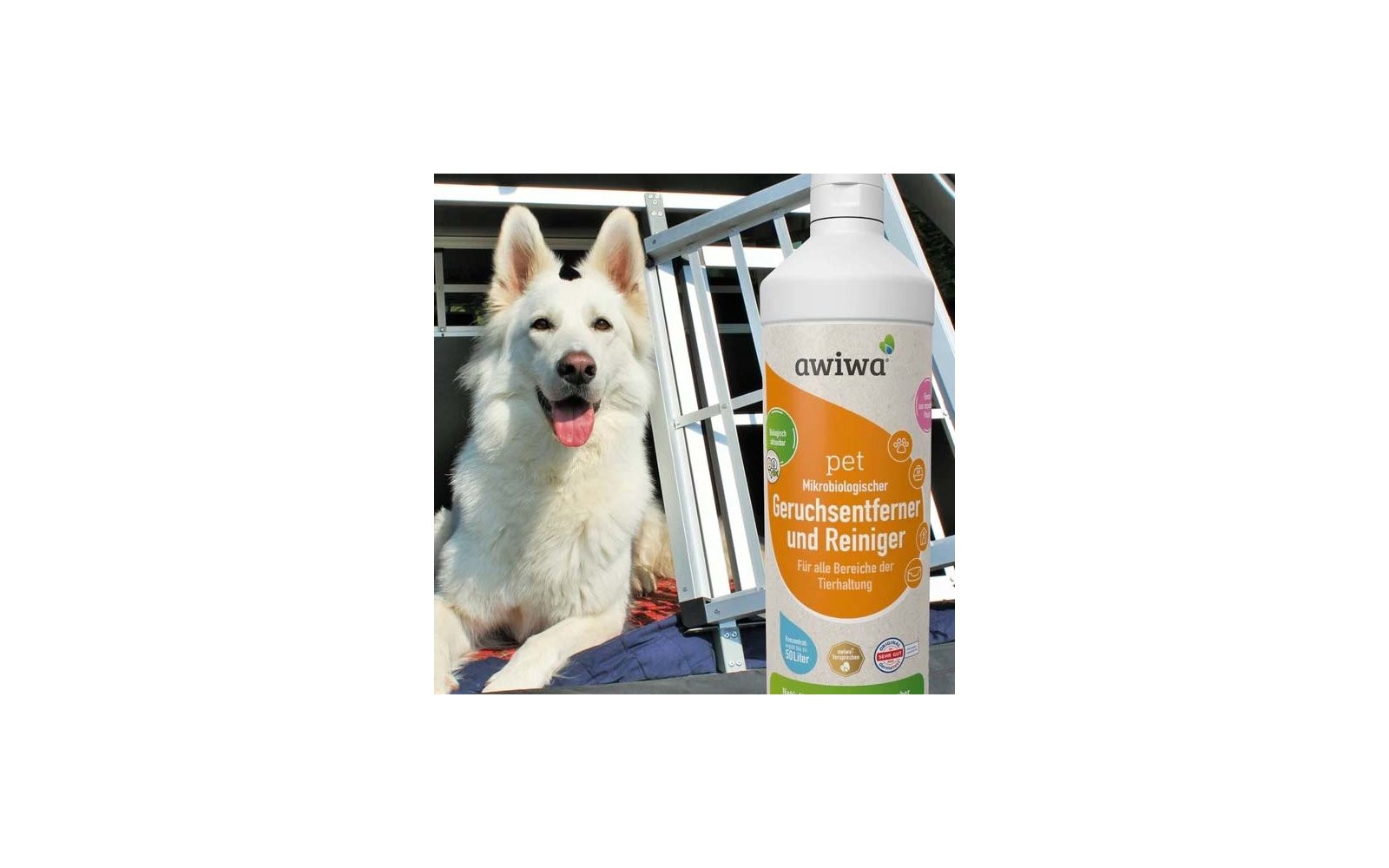 Weißer Hund mit offenem Maul und herausgestreckter Zunge neben einer weißen Flasche mit orangefarbenem Etikett 'awiwa pet Geruchsentferner und Reiniger'; Metallrahmen und Glasfenster im Hintergrund