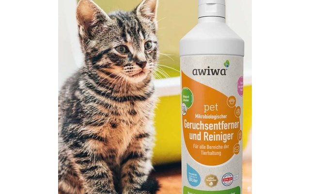 Braun-schwarz getigertes Kätzchen neben einer weißen Flasche mit orange-weißem Etikett 'awiwa pet Mikrobiologischer Geruchsentferner und Reiniger', vor einem gelben Kunststoffbehälter