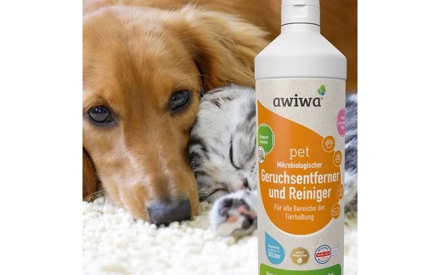 Brauner Hund und grau-weiße Katze liegen nebeneinander auf hellem Teppich; weiße Flasche mit Etikett 'awiwa pet Mikrobiologischer Geruchsentferner und Reiniger' im Vordergrund