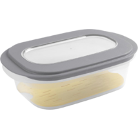 Sunware Sigma home Aufschnittdose f&uuml;r K&auml;se transparent grau