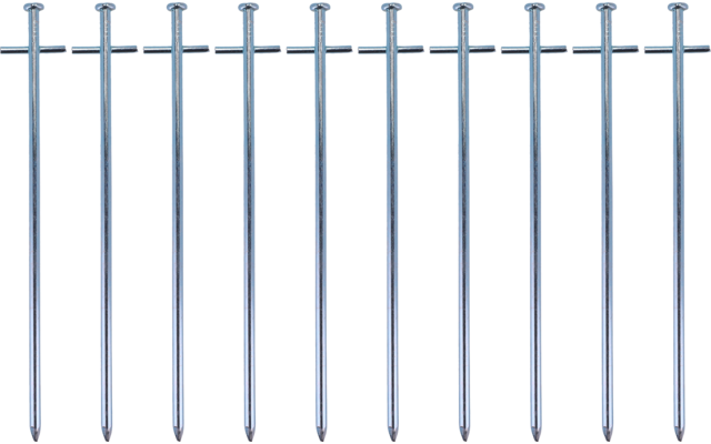 Several vertical metal nails aligned side by side on a white background