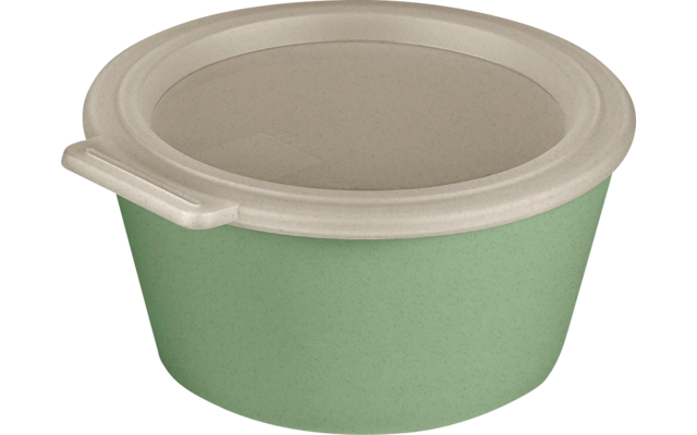 Image du produit Koziol Move Box Schale mit Deckel 700 ml 1