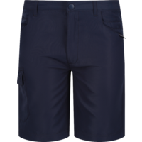 Regatta Sorcer Shorts II ni&ntilde;os pantalones cortos de senderismo