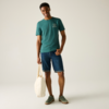 Kleines Produktbild Regatta Cline IX Herren T-Shirt 1