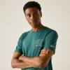 Kleines Produktbild Regatta Cline IX Herren T-Shirt 1