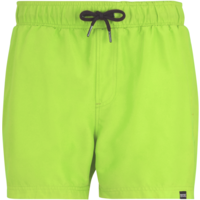 Regatta Mawson III Herren Schwimmshorts