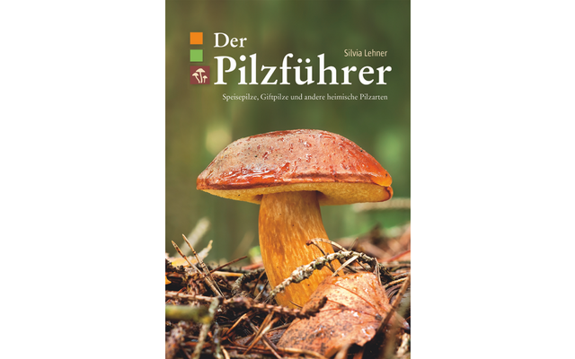 Buchcover mit Titel 'Der Pilzführer' und Autorin 'Silvia Lehner', Nahaufnahme eines braun-orangefarbenen Pilzes auf Waldboden