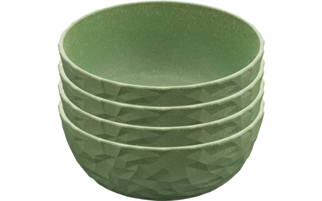 Koziol Club Bowl bowl 700 ml nature leaf green