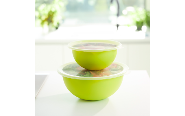 Rotho Caruba bowl with lid 4.8 liters horizon blue