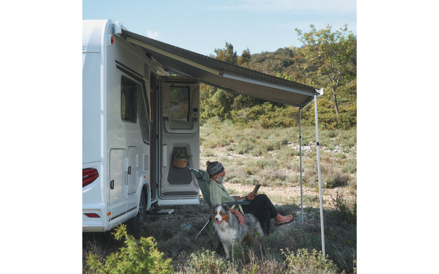 Person sitzt auf Campingstuhl unter ausgefahrener Markise neben Wohnmobil und liest ein Buch; Hund liegt auf dem Gras; Busch- und Baumlandschaft im Hintergrund