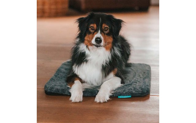 Schwarz-braun-weißer Hund liegt auf einer grauen Hundematte auf einem Holzboden, schaut zur Kamera