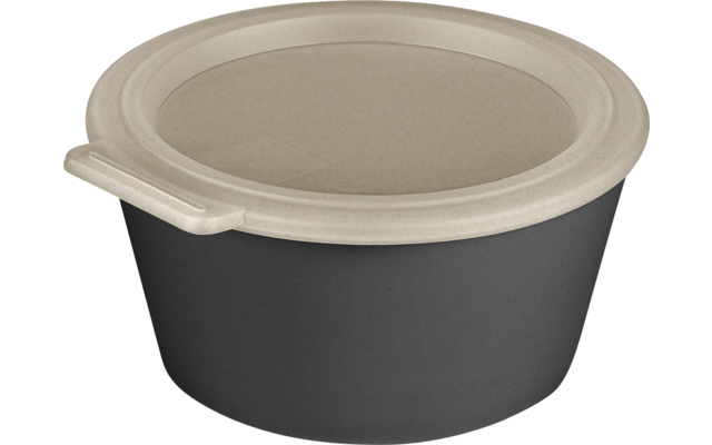 Image du produit Koziol Move Box Schale mit Deckel 700 ml 1