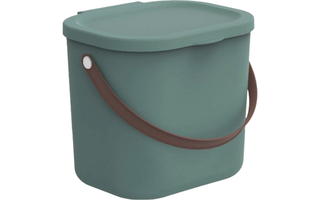 Rotho Albula boîte de rangement 6 litres vert Mistletoe