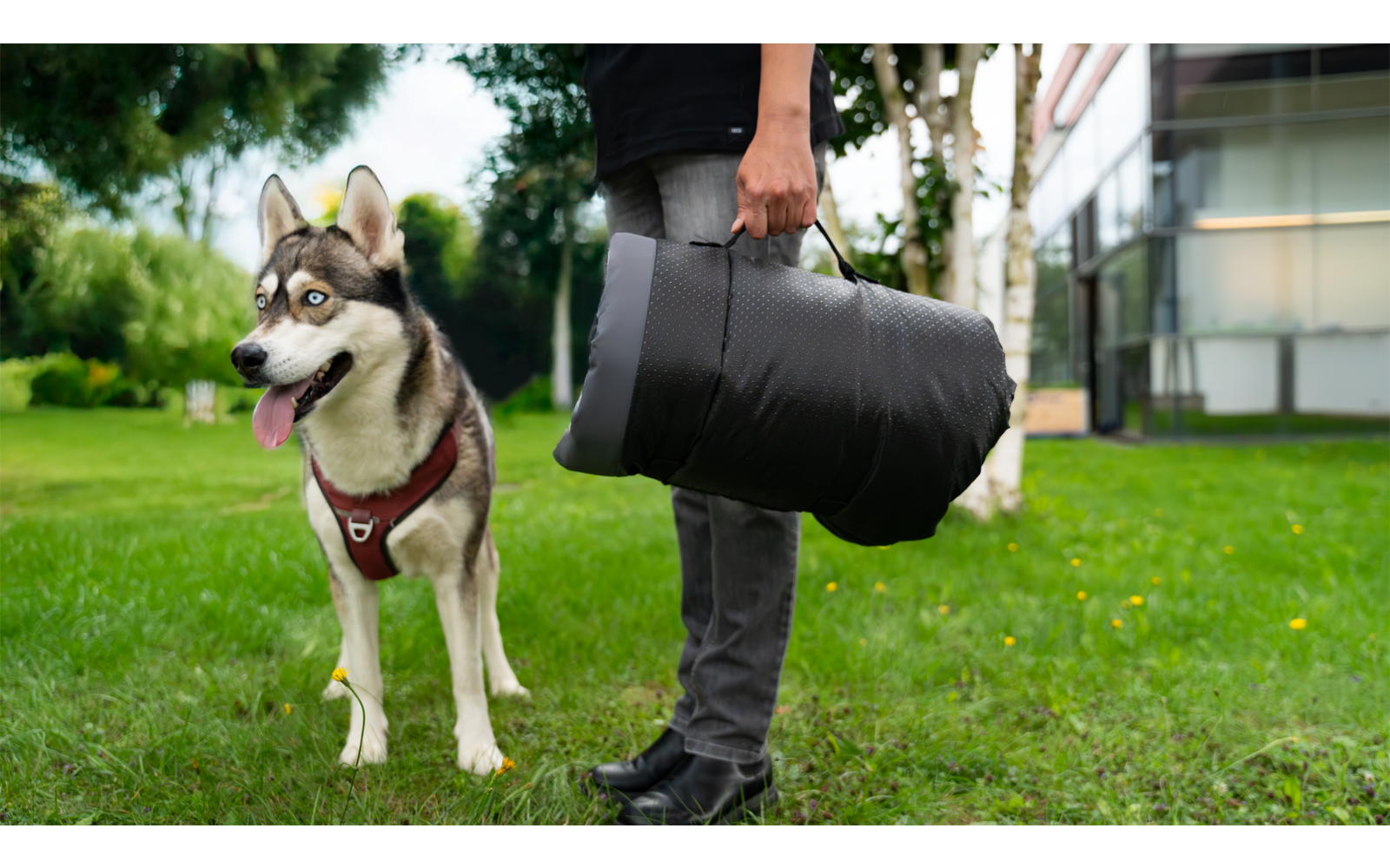 Product image Berger TravelPaws travel dog blanket 1