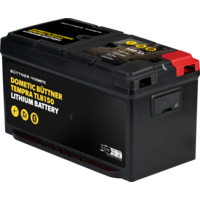 Dometic Büttner Tempra TLB150 Lithiumbatterie mit Bluetooth 12 V / 150 Ah ohne integrierte Heizung