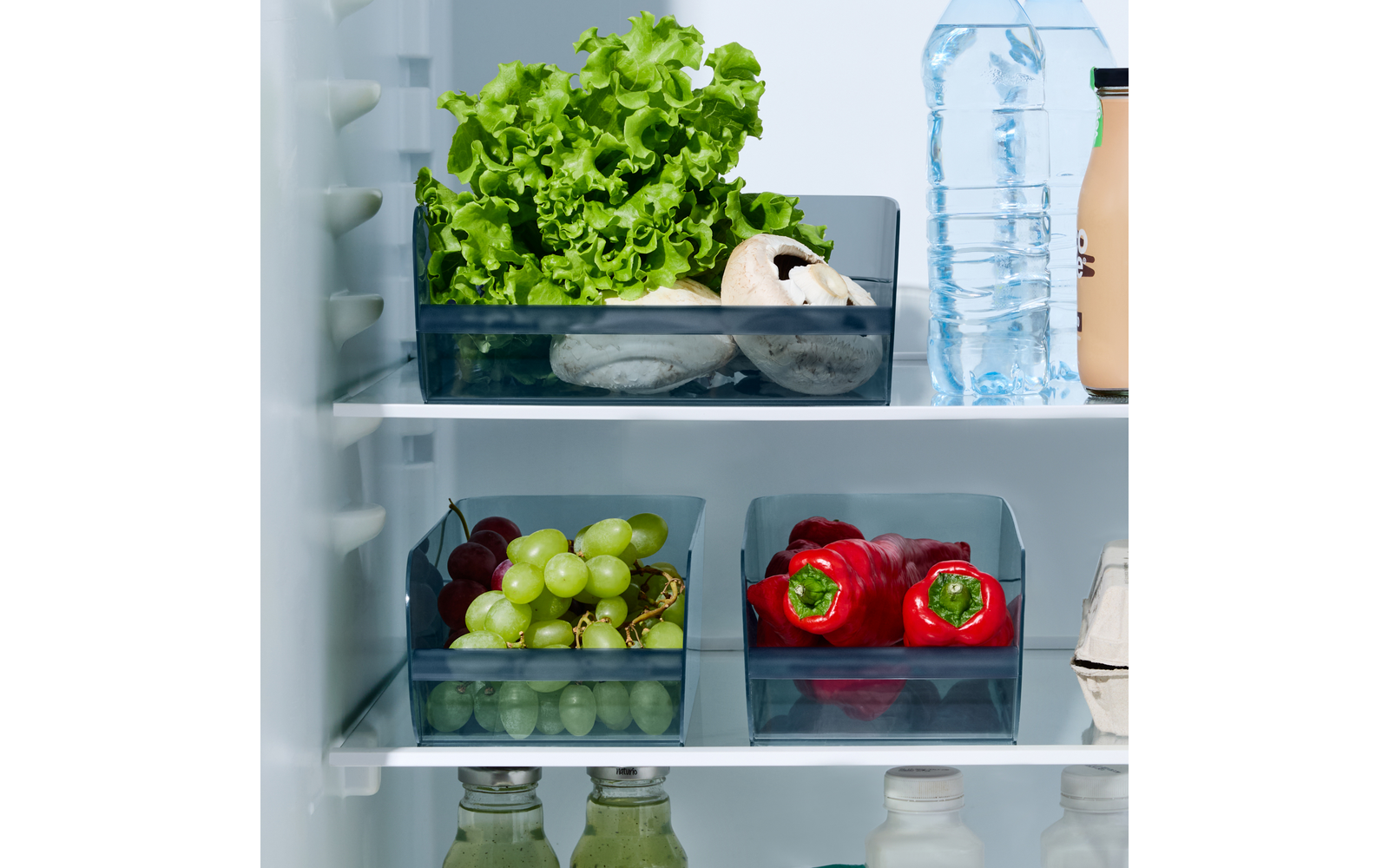 Produktbild Rotho Liskamm K&uuml;hlschrankorganizer 1