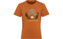 807267104 807267152 654183104 80726792 654183128 654183140 - Jack Wolfskin Graphic Cotton Kids T-Shirt