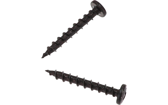 Zwei schwarze Schrauben mit Kreuzschlitz auf weißem Hintergrund