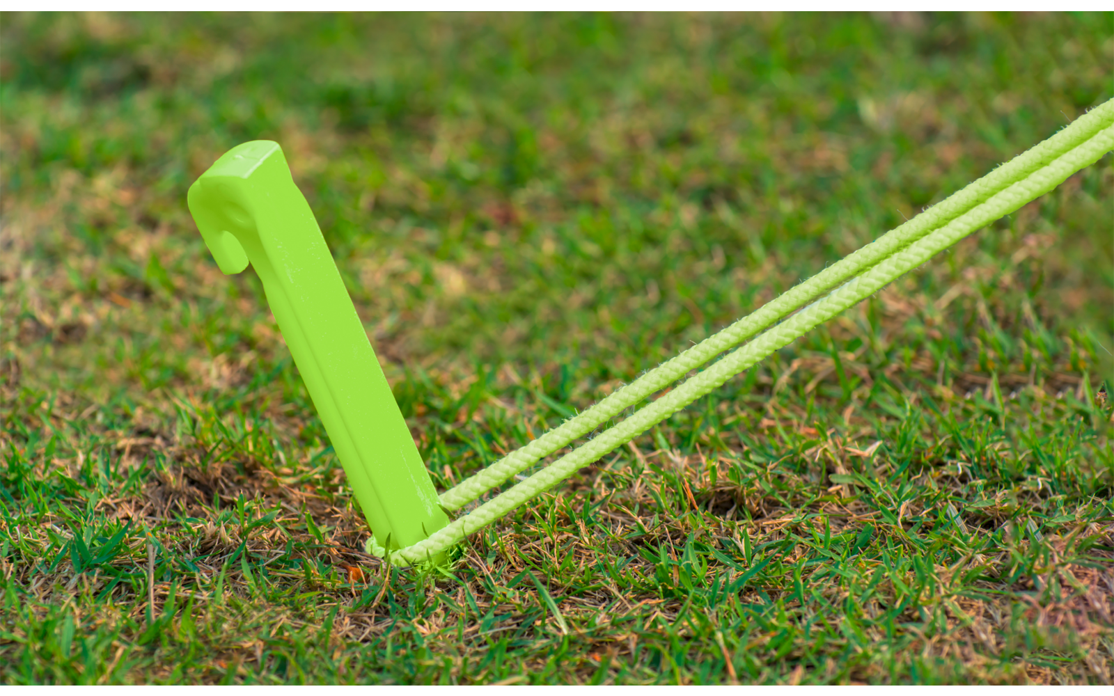 Green plastic stake with two neon-green cords, pushed into grass