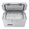 Dometic insulated ice and passive cooler 54 l Mist