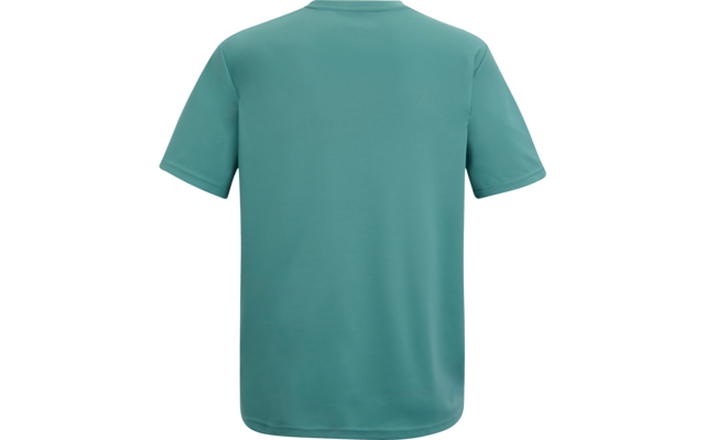 Türkisfarbenes kurzärmeliges T-Shirt, Rückansicht, auf weißem Hintergrund