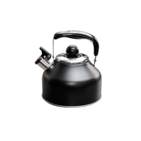 Bouilloire pour plaques de cuisson à induction, à gaz et électriques 2,2 litres Outdoor Revolution