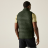 Man van achteren, draagt een donkergroene doorgestikte bodywarmer over een lichtgeel T‑shirt met korte mouwen en donkere korte broek op een effen lichte achtergrond