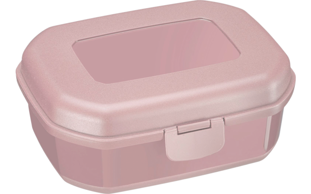Westmark Snackbox Maxi 935 ml rosa
