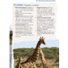 Magazinseite mit der Überschrift 'PLANUNG (Monate vorher)', mehreren Textspalten und einem Foto von zwei Giraffen in einer buschigen Savanne unter wolkigem Himmel