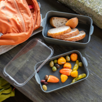 Koziol Stakk Bentobox 2 Lunchboxset 3 teilig mit 2 Boxen / 1 Deckel 2 Liter  nature ash grey/crystal clear