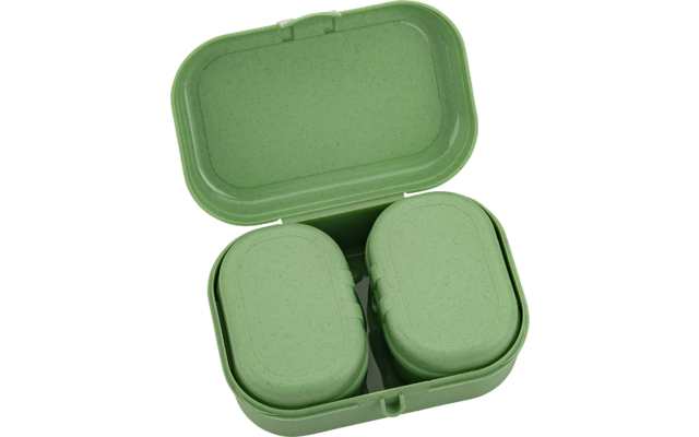 Récipient rectangulaire vert avec couvercle ouvert, deux inserts ovales à l'intérieur et surface légèrement tachetée