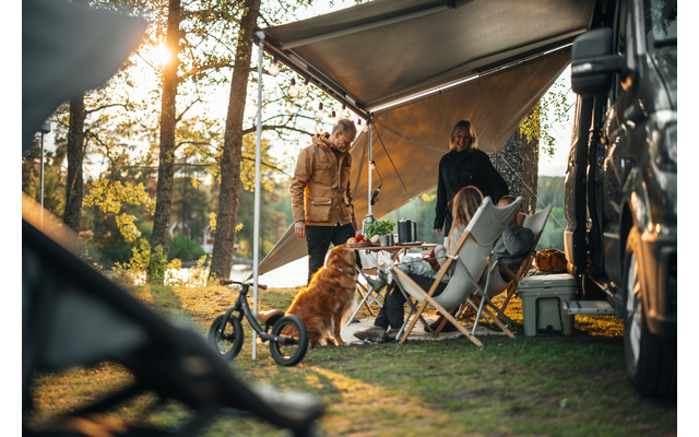 Produktbild Thule Subsola Side Pack Seitlicher Sicht- und Wetterschutz modular f&uuml;r Markisen 1