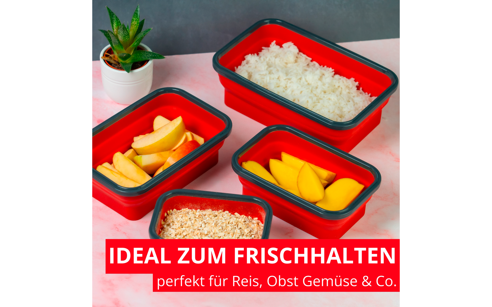 Vier rote, rechteckige Behälter mit weißem Reis, Apfelscheiben, gelben Fruchtscheiben und Haferflocken; kleine Sukkulenten-Pflanze; rotes Banner mit Text „IDEAL ZUM FRISCHHALTEN – perfekt für Reis, Obst Gemüse & Co.“
