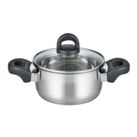 Marmite &agrave; r&ocirc;tir en acier inoxydable 20 cm Turmalin Elo Basic