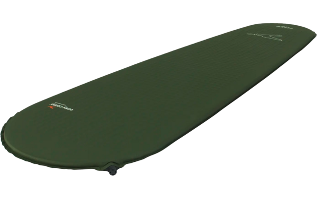 Grüner Gleitschirm von unten fotografiert