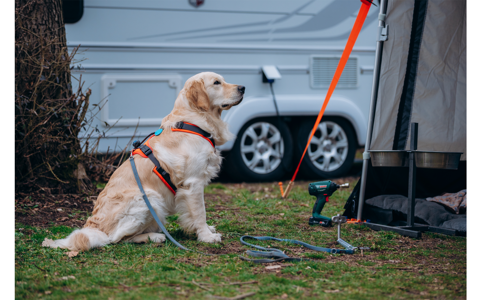 Produktbild Peggy Peg Erdbodenanker mit Stoßdämpfer zum Anleinen von Tieren 1