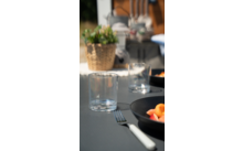 Berger Acryl Wasserglas-Set 2-tlg. 410 ml