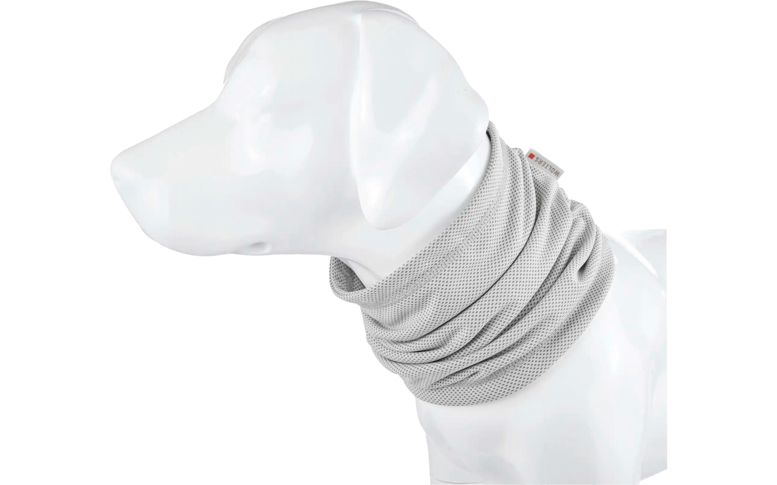 Weißer Hund mit grauem Schlauchschal um den Hals