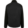 Schwarze gesteppte Jacke von hinten mit langem Ärmel und Stehkragen