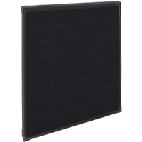 Modulo solare Ective BSP Black monocristallino 80-200 W